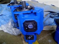 龙工机械 液压齿轮泵CBG3125|济南厂专业制造