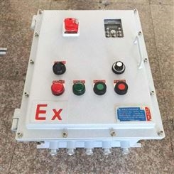 深圳台达变频器防爆柜 11KW变频器防爆控制柜 防爆柜柜体