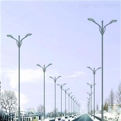 言成厂家定制8米-15米中华玉兰灯 户外广场市政道路大型工程LED玉兰灯