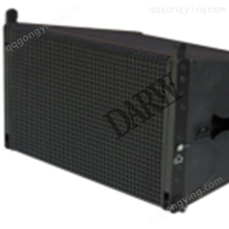 双12寸阵列音箱单18寸无源低频扬声器DX-118C演出音箱主扩