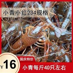 十一期间 鲜活小龙虾降价  小青小红234钱规格16元每斤 楚淼水产正常营业  欢迎购买
