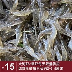 2021年10月中等河虾/草虾/米虾每天*不到100斤每只2.5公分价格15元每斤