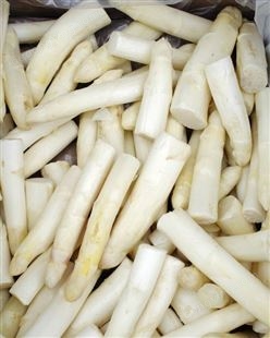 速冻冷冻白芦笋条 芦笋罐头 芦笋成品原料 蔬菜加工