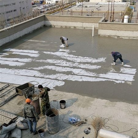 屋面防水 外墙楼顶防水工程 卫生间补漏定制施工