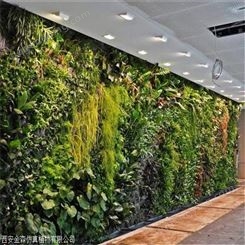 装修真植物墙 立体绿化墙 金森