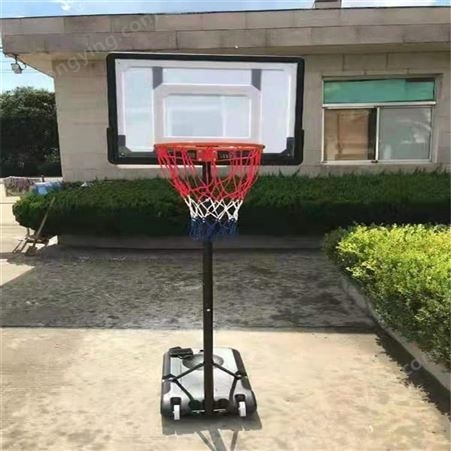可升降儿童篮球架 儿童家用篮球架 户外移动篮球架出售 泰昌定做篮球架