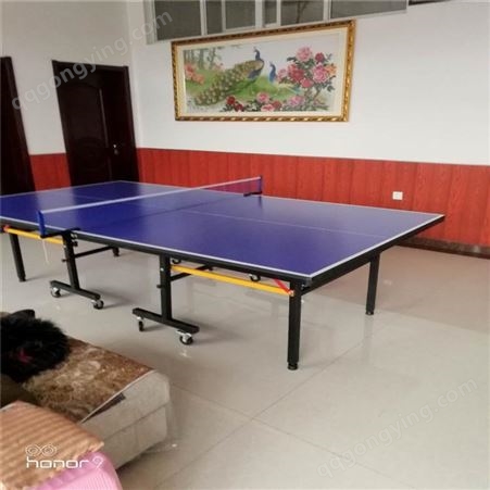 泰昌体育供应 家用学校比赛用室外乒乓球桌 乒乓球台