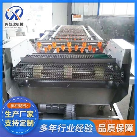 兴凯达机械蔬菜清洗机XKD-3500运行速度变频可调自动化程度高
