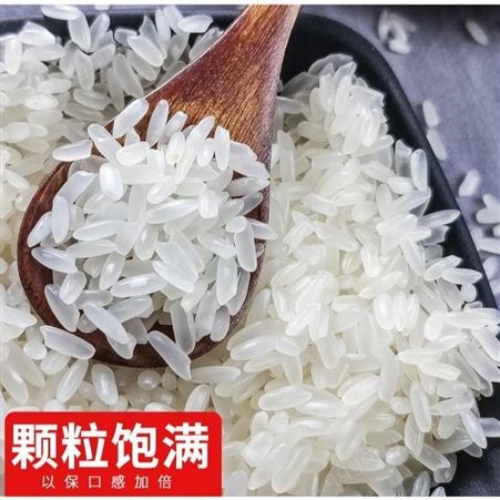 大米批发 五常稻花香2号品种大米价格 五常大米10kg公司报价 东北有机稻米厂家合作社 和粮农业