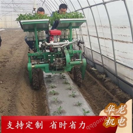 华龙番茄移栽机 轮式自走蔬菜移栽机 厂家直供 支持定制