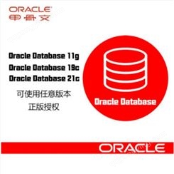 Oracle标准版/企业版11G/12C/18C/19C/21C/RAC/Oracle企业版RAC