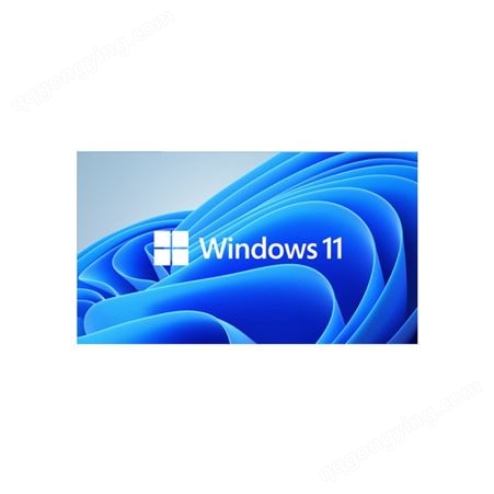 微软Widows11 多语言版 一键智能系统安装 专业