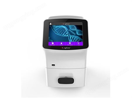 Q1000/Q1000+型荧光定量PCR系统