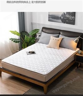 酒店床上用品纯色保护垫保洁垫加厚可水洗垫子