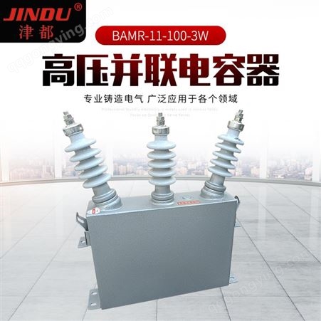 BAMR-11-100-3WJINDU津都品牌BAMR-11-100-3W户外高压并联电力补偿电容器