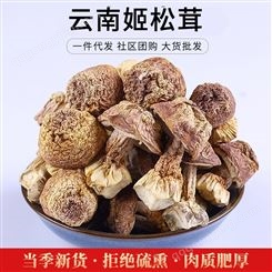 云耳牌 云 南特产 山珍姬松茸200g干货批发 食用菌特产批发