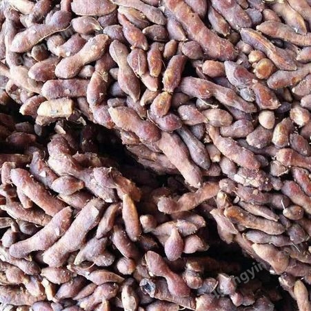 彝山香长期批发泰国去皮酸角果肉全年供应50公斤/编织袋