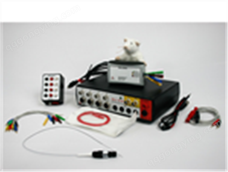 大鼠心电测量仪，小鼠心电测量仪