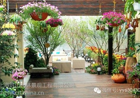 上海松江室内花卉租赁大树修剪花卉租赁