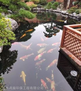 苏州市大型景观鱼池水净化工程 常年无需换水 免清洗