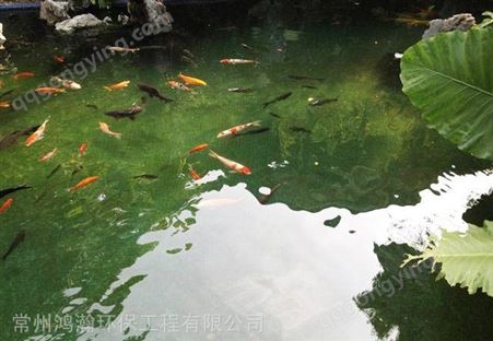 嘉兴市花园鱼池水发绿、水浑浊处理。