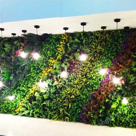 垂直绿化景观种植容器 植物墙壁挂式花盆免费设计提供安装