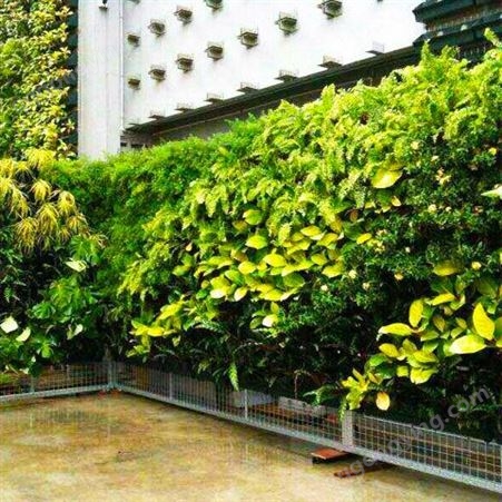 颐合供应垂直绿化植物墙花盆 壁挂式景观组合绿植墙种植盒可定制