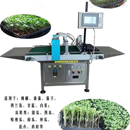 育苗机批发价格 蔬菜穴盘播种机出苗匀出苗齐精准度高 KRT-680型播种机