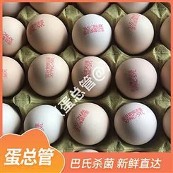 40-60枚新鲜鸡蛋黄 红壳白壳鸡蛋 整箱出售 蛋总管 长期供应